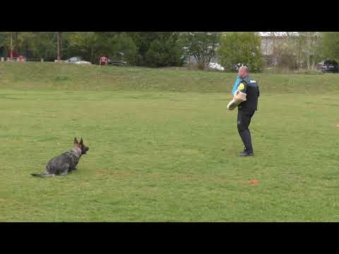 MM MSKS Zbraslav 2022 - Rostislav Mičkal - Bailey Vermüll - obrana/defense