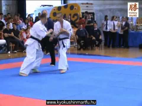 2010 Shinkyokushin EC Logrono: Zsolt Balogh  - Sergii Gnes, men 90kg