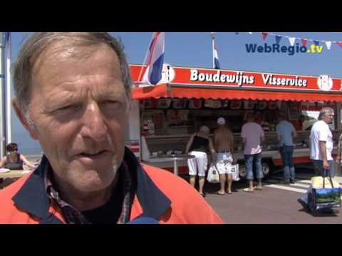 Zandvoort geteisterd door patatmeeuwen