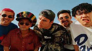 MUNDO ANIMAL MAMONAS ASESINAS