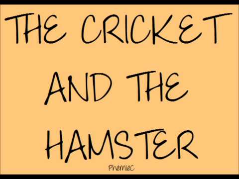 PhemieC The Cricket And The Hamster