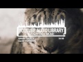 Swamp Shuffle Silent Partner Youtube Audio Library Royalty Free Music