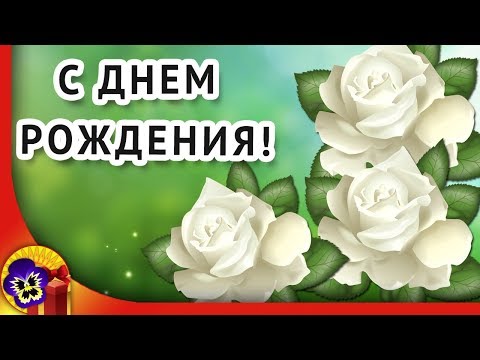 С Днем рождения в июне 🌹 Красивое видео поздравление с днем рождения