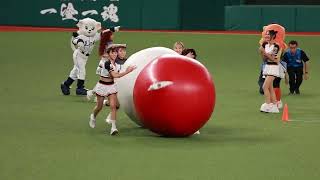 【台湾チア】2024.7.10 ベルーナドーム　統一ライオンズ　コラボレーションイベント　大玉転がし対決