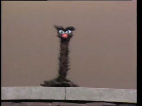 Sesame Street: Snerf- Shorter and Longer