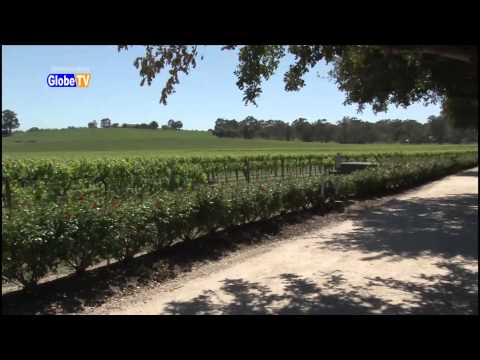 Sydney und Süden von Australien - Globe TV Sendung