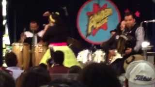 Falling La Santa Cecilia