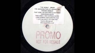 (1999) The Amalgamation Of Soundz feat. Yvonne Webbley - The World [Eric Kupper Amalgamated Dub RMX]