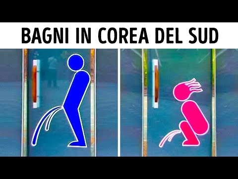 Come rompere il collegamento con parassiti della gente Strada degli alimenti per batteri di parassiti