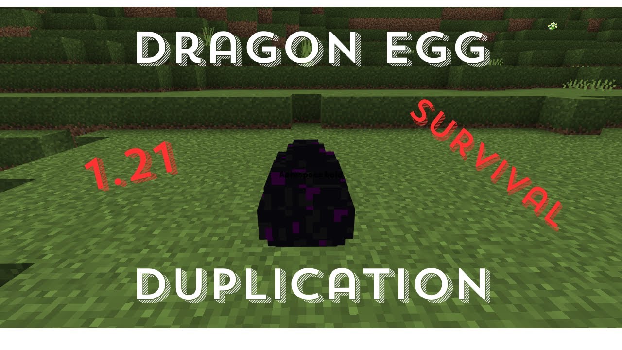 1.21.11 Dragon egg duplication glitch! (Java edition)