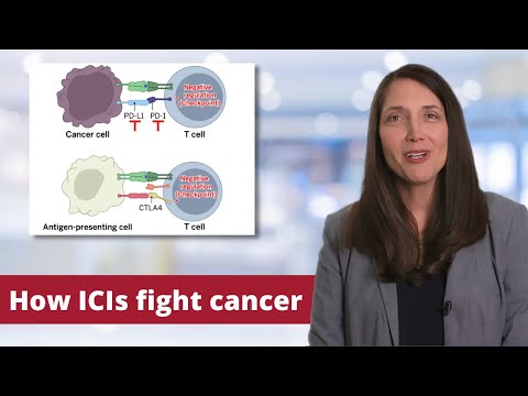 Cancer Immune Checkpoint Inhibitors