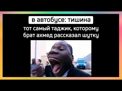 тикток сдал егэ
