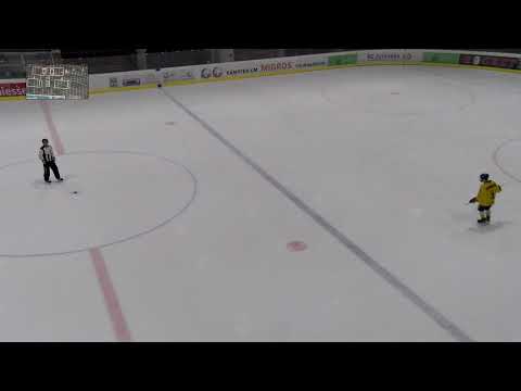 ZSC Lions vs.EHC Davos