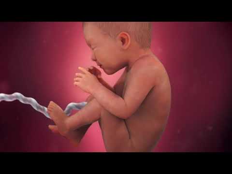 34. deň = 34. týždeň života dieťatka