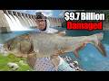 Chasing Down America S Most Destructive Fish