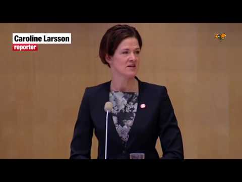 Anna Kinberg Batra pressar Löfven om gränskontroller