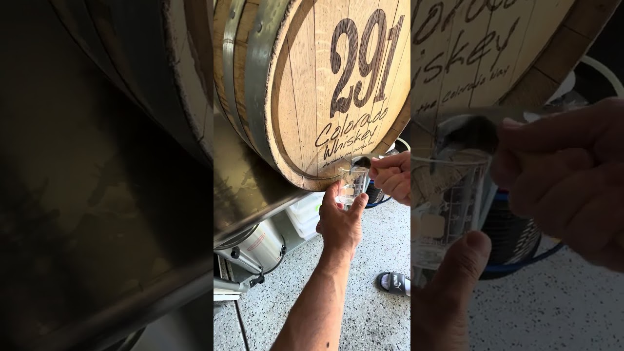 Shorts Episode 35:Barrel Aged IPA#shorts #homebrewing #beer #craftbeer #homebrew #brewing #hops #dry