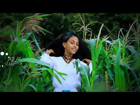 Hiluf Alemu ~ [wezam] Ethiopian Tigrigna music