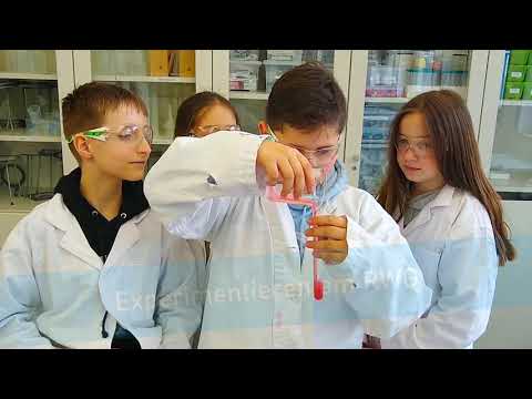 RWG Profilfach Experimentieren