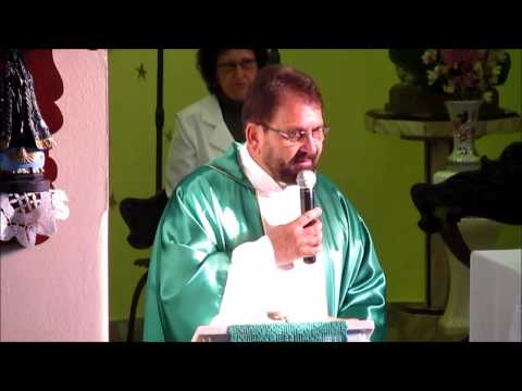 161 - Homilia do Padre Walmir Thiel - 06.07.14 - 14° Domingo do Tempo Comum