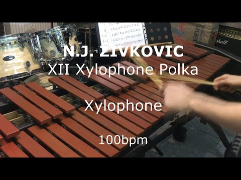 N.J. Zivkovic - XII Xylophone Polka (My First Book for Xylophone and Marimba)