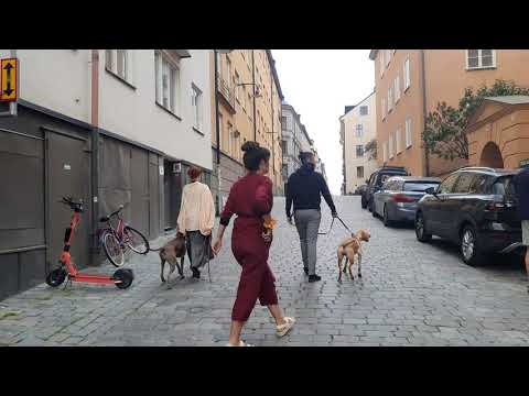 Suécia, Estocolmo - os becos de Slussen #153