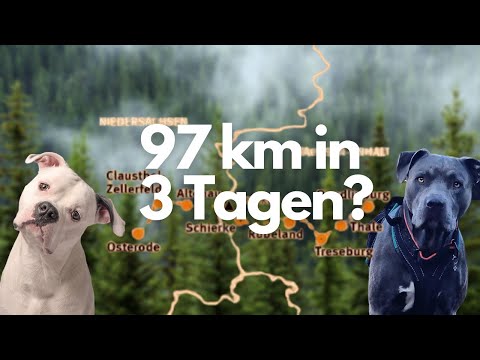 97km in 3 Tagen - Vorstellung Caniventure -Was haben Wir vor?