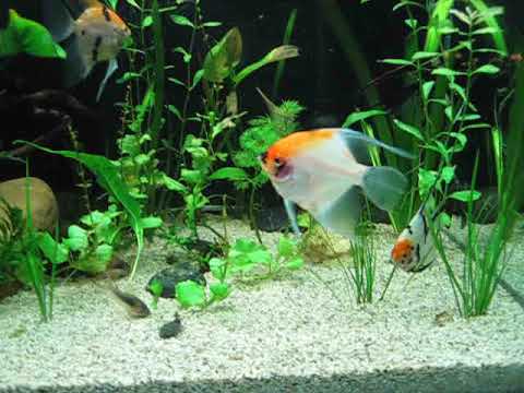 Sneak peak 08.07.2018