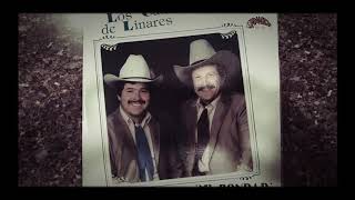 Chuy Vega &amp;Lupe Tijerina - Mi Bondad Disco Completo