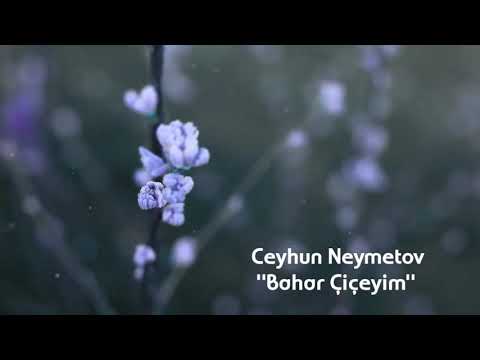 Ceyhun Neymetov - Bahar Çiçeyim