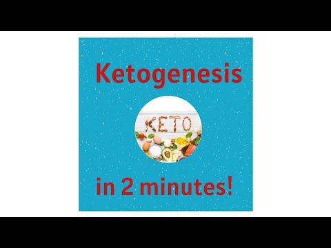 Ketogenesis and Ketones in 2 minutes!
