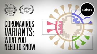 Coronavirus variants: What you need to know
