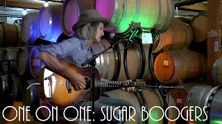 ONE ON ONE: Steve Poltz - Sugar Boogers September 30th, 2016 City Winery New York