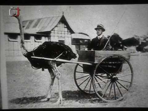 Salon Cimrman - Cimrmanovy vynálezy