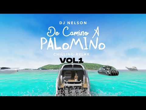 DJ Nelson x Alejandro Armes - Intro De Camino A Palomino [Official Audio]
