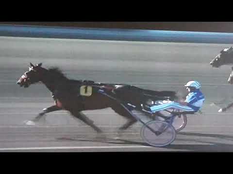 V75 Solvalla DD 2 Elitloppet Försök 2