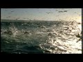 Trailer Blue Planet