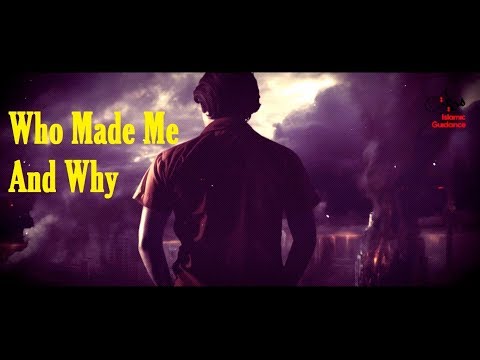#22 Who Made Me And Why
