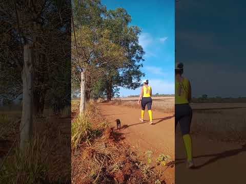 Caminhada sertaneja Comunidade Santa Rita município Vianópolis Goiás Brasil
