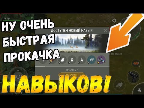 Как очень быстро прокачать навыки и получить навык вождения чоппер? Last Day On Earth: Survival