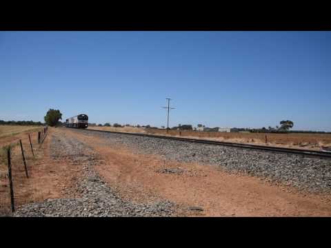 Light engine movement D448S with CSR004 BK001 SCT004