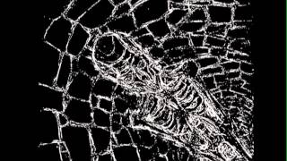 Cadaveric Incubator: Covenant of Gore