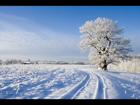 Riho Sibul - Talitee