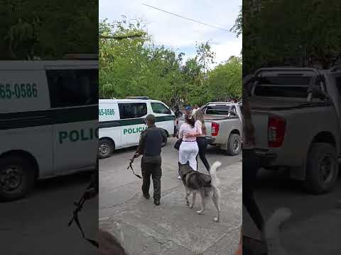 #ATENCIÓN// Policía frustra atraco armado en el Banco Agrario de Aipe; hay dos capturados
