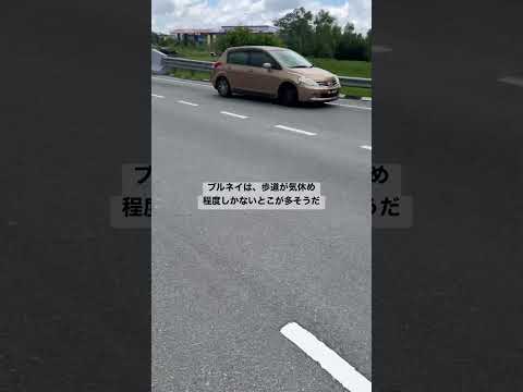 経営学科 ブルネイは圧倒的に車社会