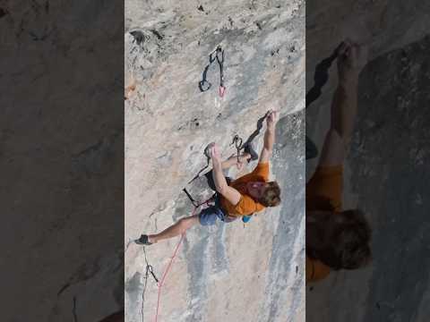 Behind the send #1 : bibliographie