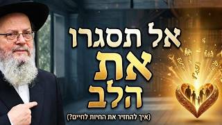 אל תסגרו את הלב: איך להתמודד עם פגיעה בלי לאבד את השמחה | פרשת ויקרא