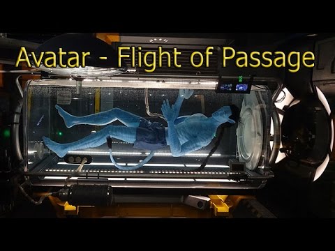 Avatar Flight of Passage regular queue full walk