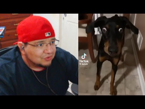 Whoever blinks loses | Funny Clips #103