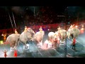 Barnum Bailey Ringling Bros Circus Elephant Finale